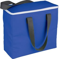 Arctic Zone 30-Can Foldable Freezer Totes
