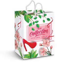 Large Laminated Paper Carry Bag - Full Colour