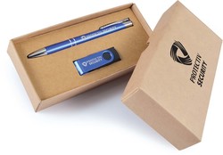 Bellman Pen & USB Cardboard Gift Set